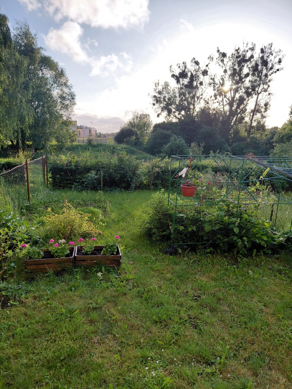 Mieszkanie parter z ogrodem + wyposażenie - 9