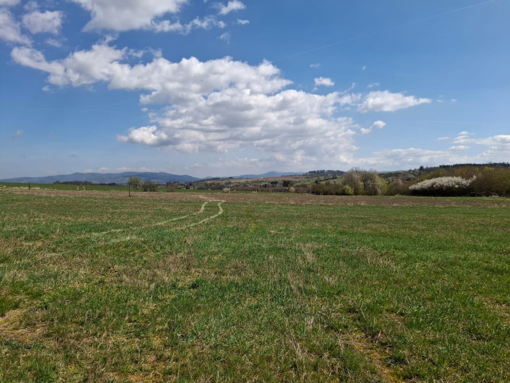 1,03 ha w Starym Wielisławiu  - 1