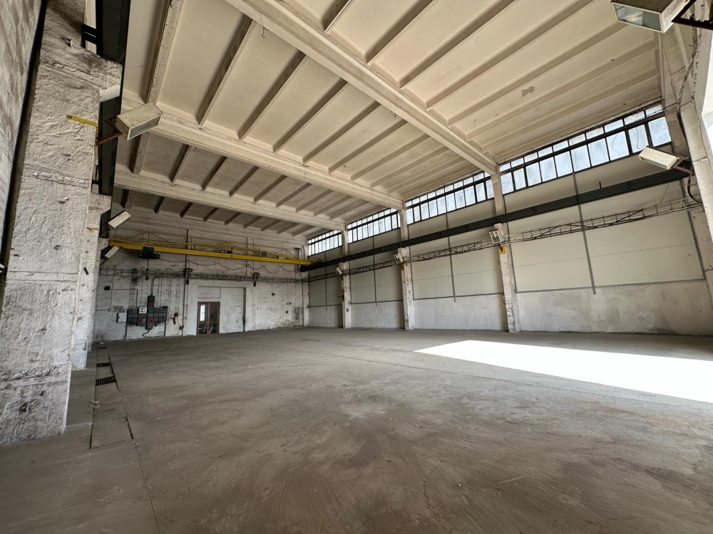 Teren inwestycyjny 2,56 ha z halami produkcyjnymi | Frysztak - 6