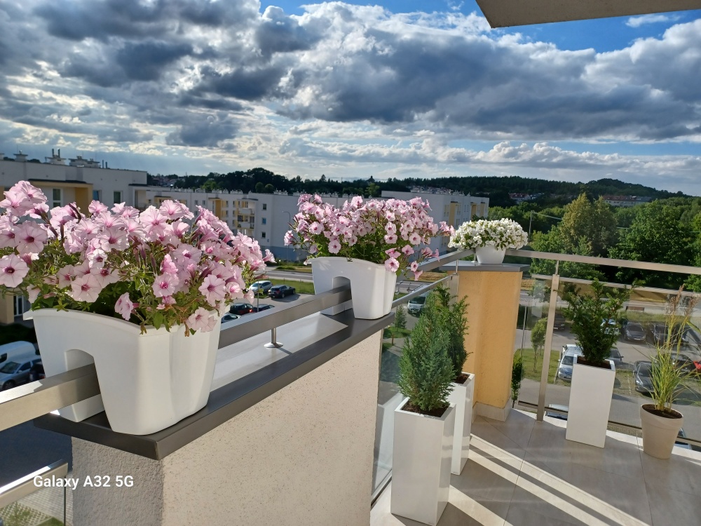 DUŻY APARTAMENT Z MOŻLIWOŚCIĄ ROZDZIELENIA+HALA GARAŻOWA 30m2 + 2 TARASY - 13