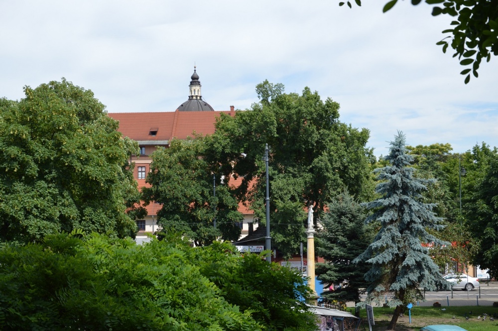 Pokój/pokoje Kraków Stare Miasto Długa 82 PIESZO NA UJ AGH, ROLINICZY, PK, UEK, UKEN - 15