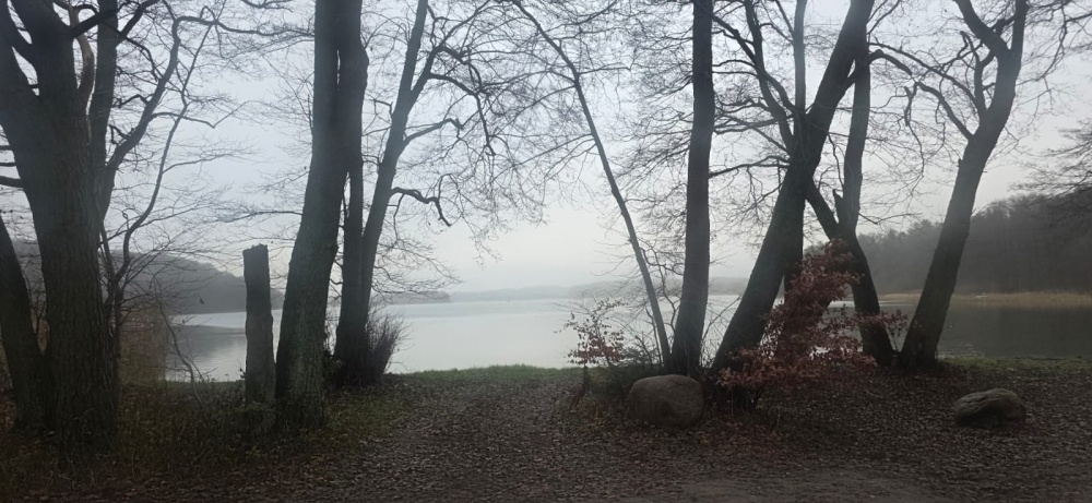 Syndyk sprzeda - prawo własności nieruchomości gruntowej niezabudowanej - ul. Działkowa 20, Warzenko - 2
