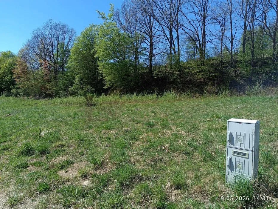 Kaszuby – działka rekreacyjna 1134 m2 | Przodkowo | 30 min do Gdańska | spokojna okolica - 2