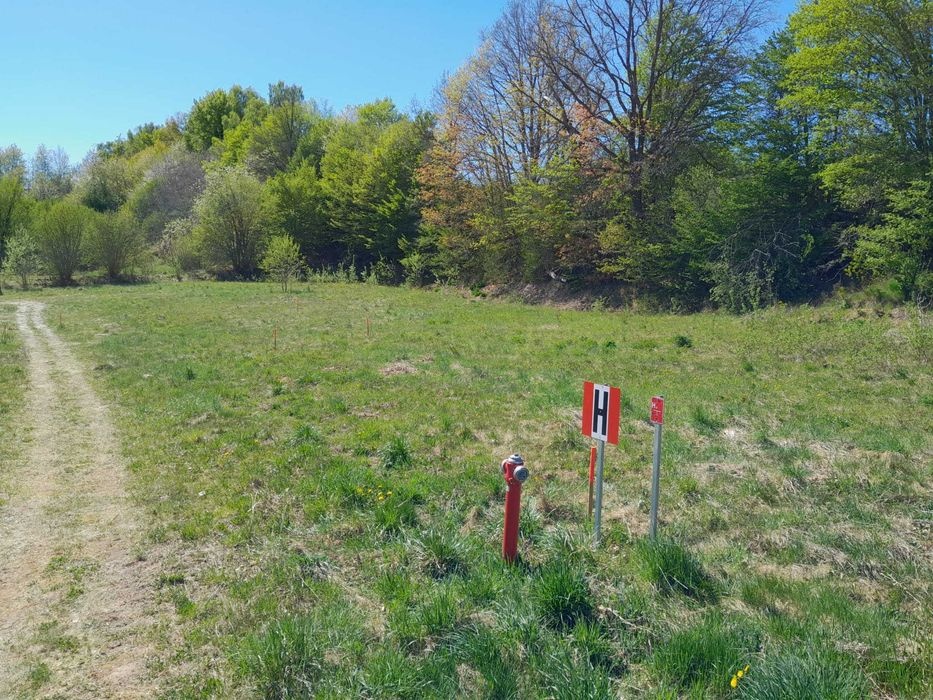 Kaszuby – działka rekreacyjna 1134 m2 | Przodkowo | 30 min do Gdańska | spokojna okolica - 3