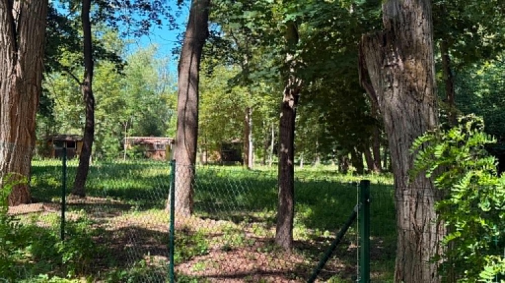 Na sprzedaż działka inwestycyjna Przyjezierze  - 13