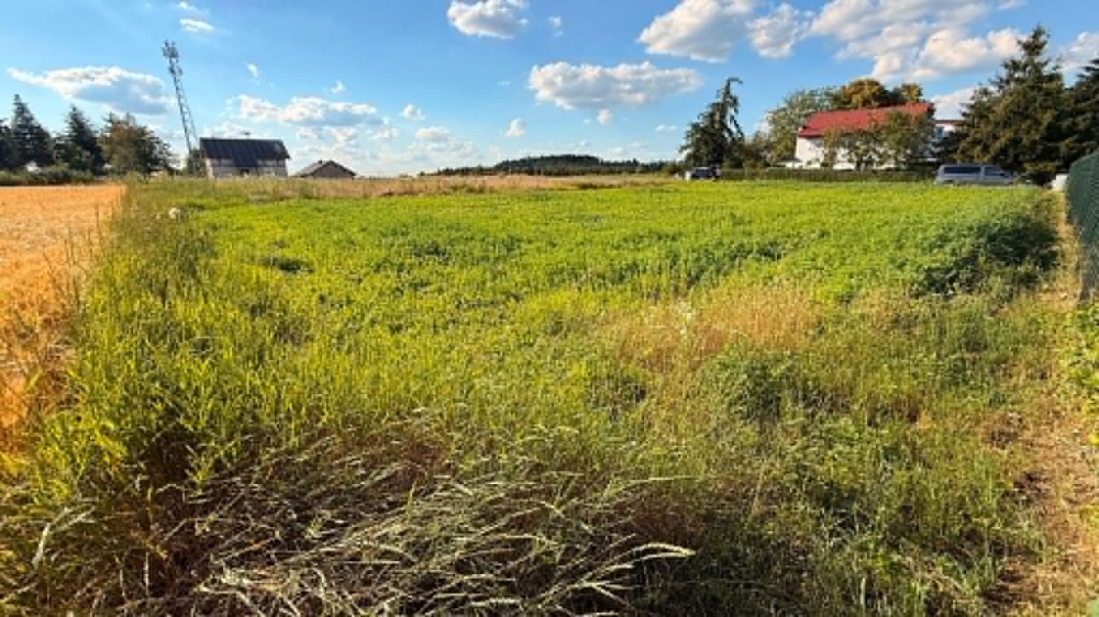 GOTOWA INWESTYCJA NAD JEZIOREM POWIDZKIM - 2