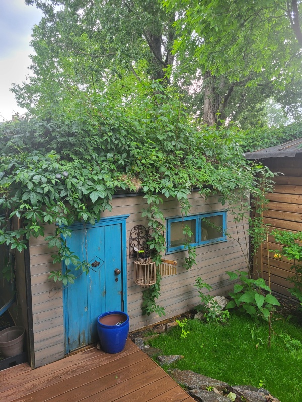 MIESZKANIE NA SPRZEDAŻ | 3 pokoje (54,6m²), wyremontowane, ogród (180m²), garaż - 0