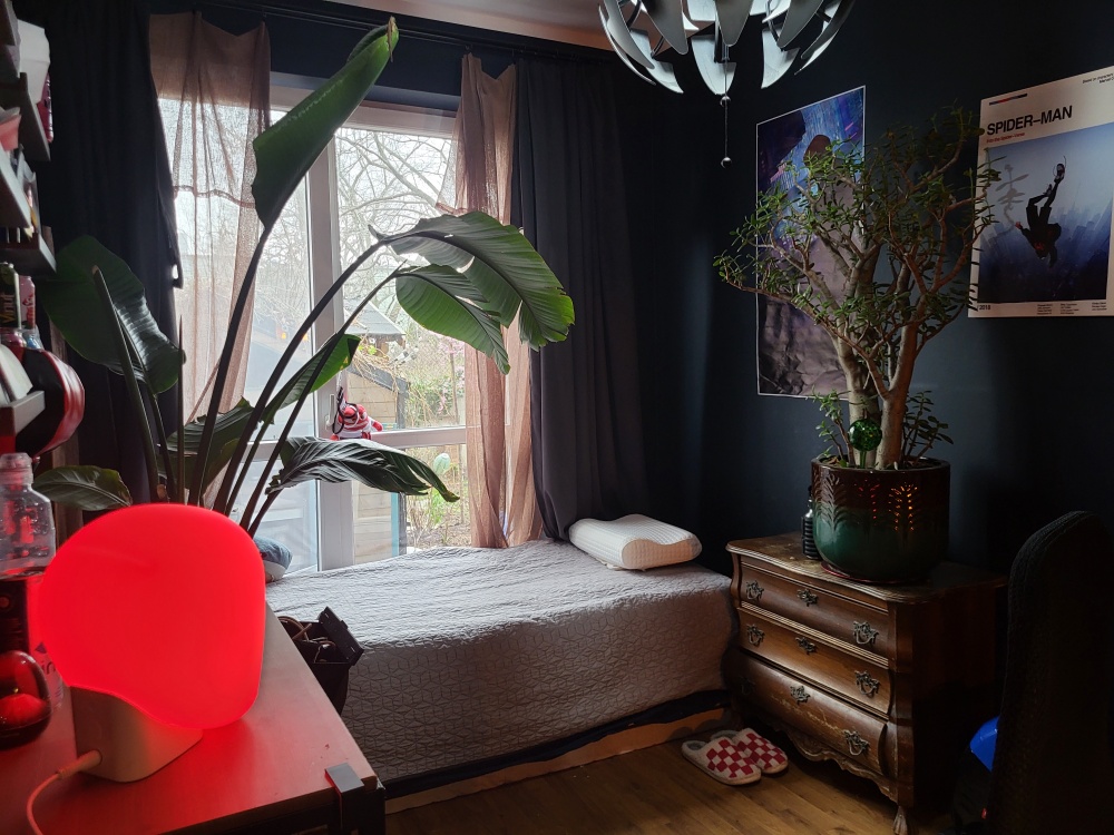 MIESZKANIE NA SPRZEDAŻ | 3 pokoje (54,6m²), wyremontowane, ogród (180m²), garaż - 5