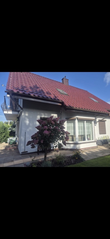 Sprzedam dom z ogrodem - 10