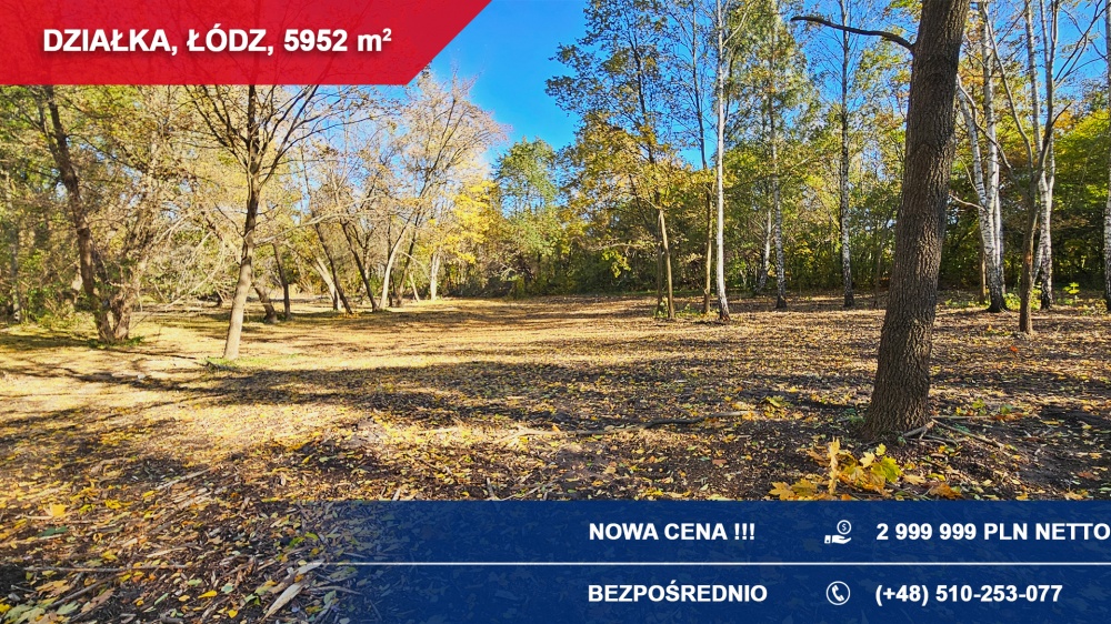 Działka inwestycyjna – Łódź, ul. Łomnicka 21 | TOP lokalizacja! - 3