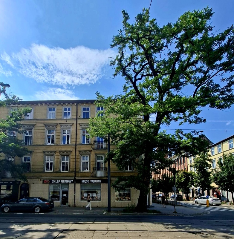 Przestronne mieszkanie z potenciałem - Jeżyce!! - 13