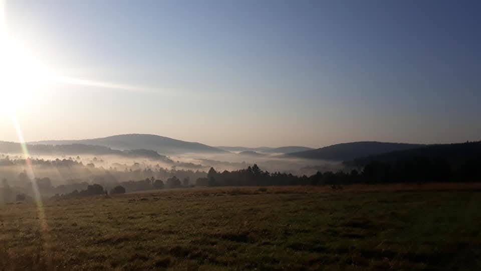 Działka 1,3 ha / Beskid Niski / Wołowiec / widokowa posiadłość - 1