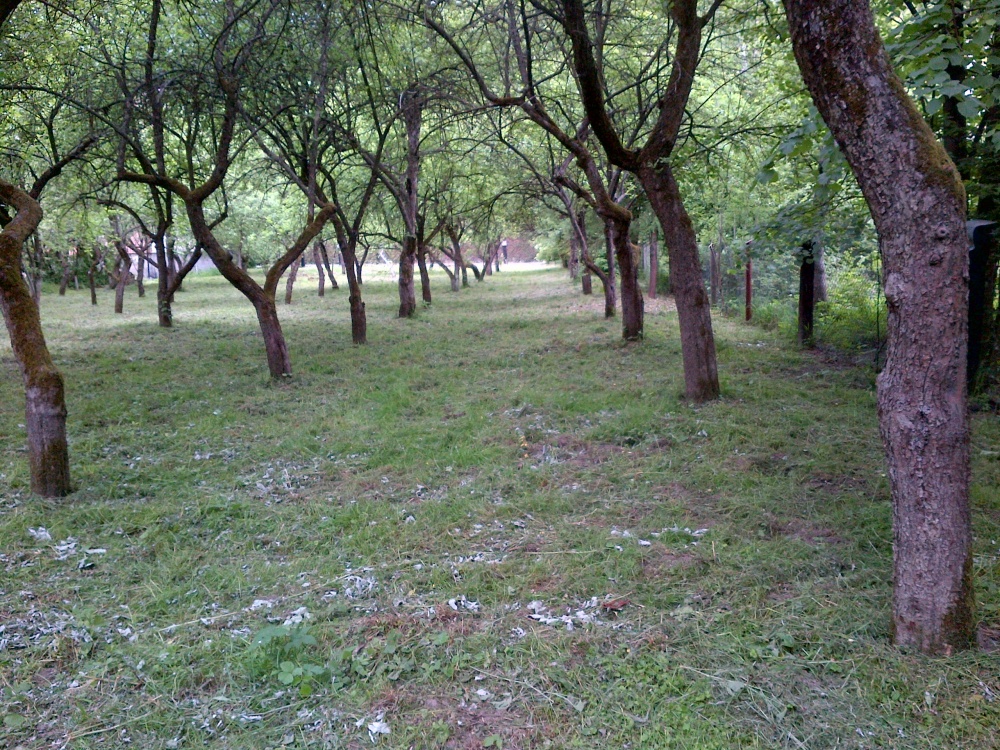 działka budowlana .Sprzedaż bez pośrednika - 3