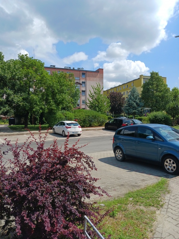 sprzedam mieszkania Wronki Borek  - 0