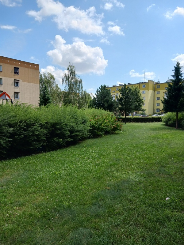 sprzedam mieszkania Wronki Borek  - 1