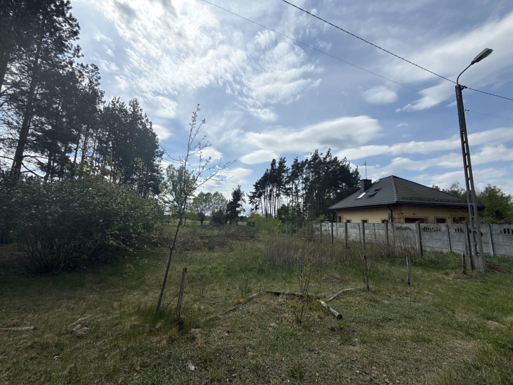 Siedlisko nad rzeką 50 km od Warszawy  - 5