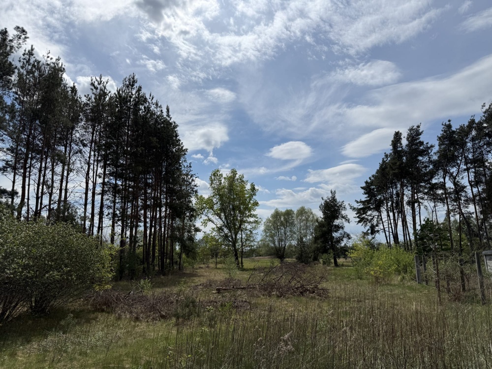 Siedlisko nad rzeką 50 km od Warszawy  - 7