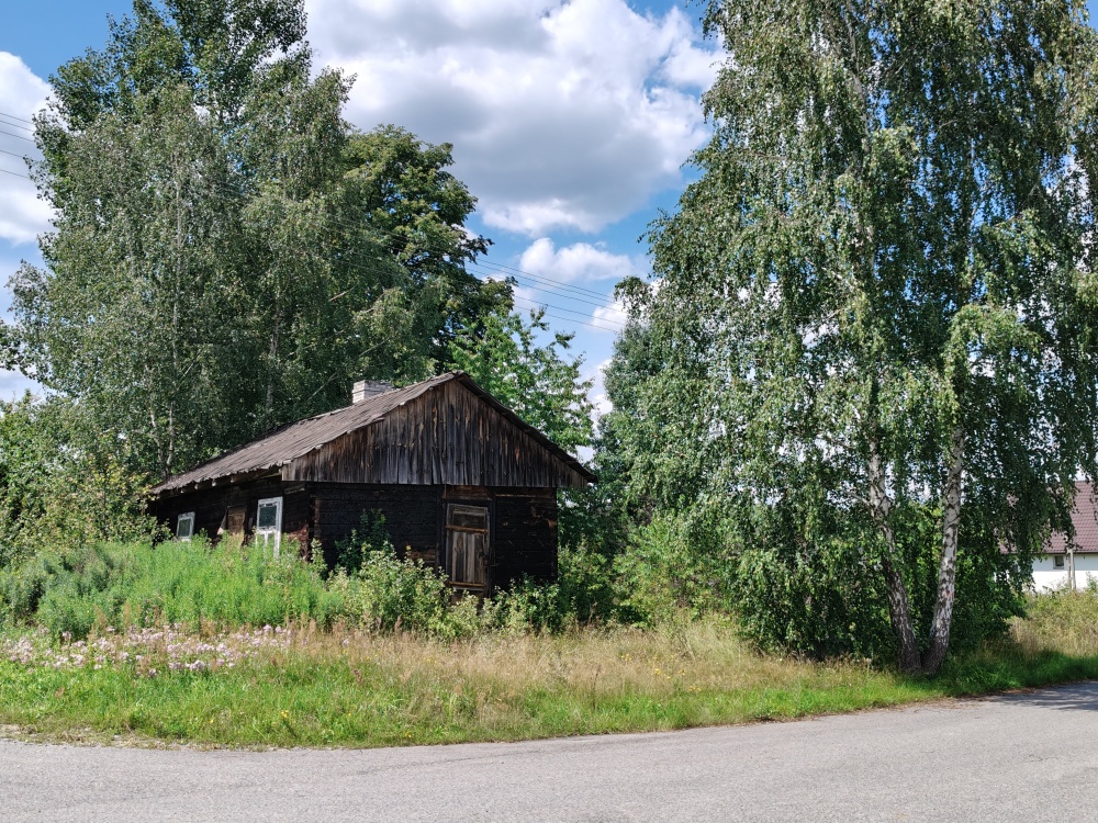 3223m2 + WZ na dwa domy! Słynny zalew Sielpia Wielka zwana świętokrzyską Ibizą! Działka doskonała do zamieszkania, wakacyjnie lub pod inwestycję - 11
