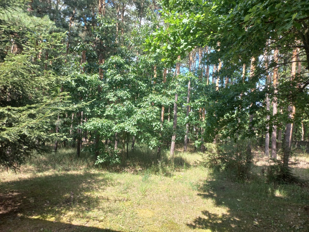 Sprzedam dom 145 m2 na działce o powierzchni 4693 m2 - 4