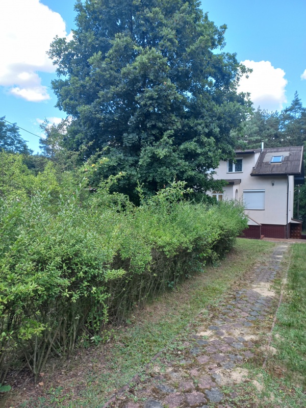 Sprzedam dom 145 m2 na działce o powierzchni 4693 m2 - 2
