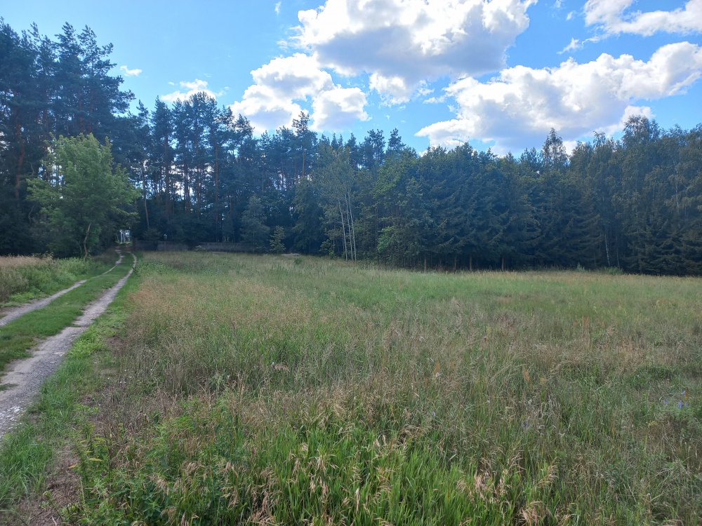 Sprzedam dom 145 m2 na działce o powierzchni 4693 m2 - 21