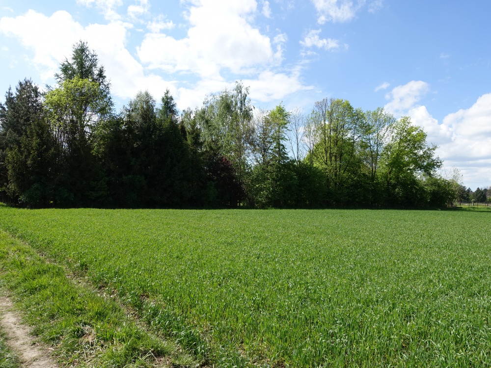 Skoczów Pruchna 1,15ha w samym centrum pod zabudowe także stadnine - 1