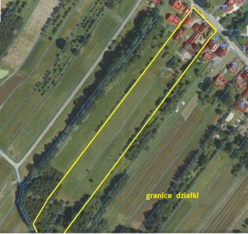 Siedlisko  z dwoma  domami  - prawie  dwa  hektary - 5