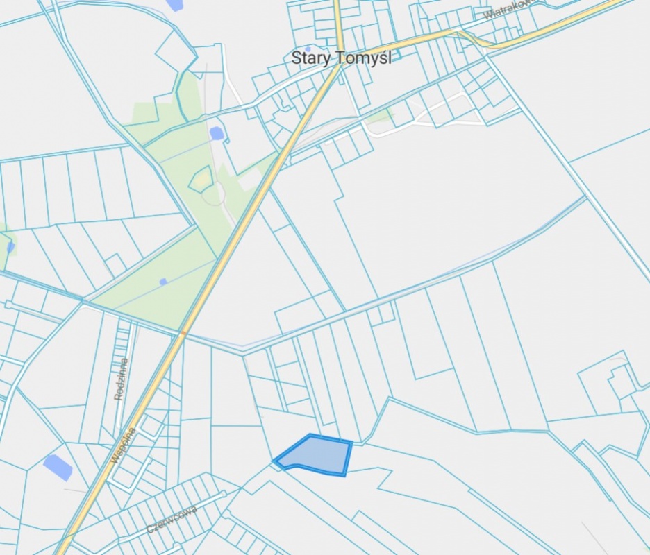DZIAŁKA Z WARUNKAMI ZABUDOWY POD NOWYM TOMYŚLEM -> Stary Tomyśl - 6