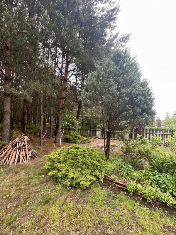 Dom wolnostojący na działce 3000 m2 - 15