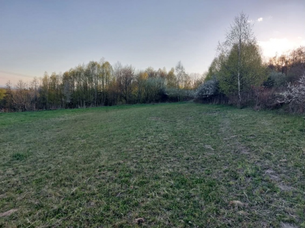 Sprzedam - atrakcyjną widokową działkę rekreacyjną - 3