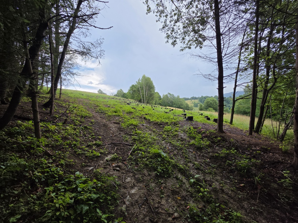 Działka BUDOWLANA – 28 arów, Bieszczady, Bóbrka, k. SOLINA - 2