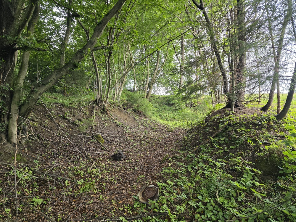 Działka BUDOWLANA – 28 arów, Bieszczady, Bóbrka, k. SOLINA - 7