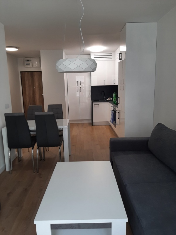NOWOCZESNY, ELEGANCKI APARTAMENT W CENTRUM – DMOWSKIEGO – KĘPA PARK - 1