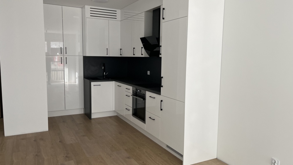NOWOCZESNY, ELEGANCKI APARTAMENT W CENTRUM – DMOWSKIEGO – KĘPA PARK - 4