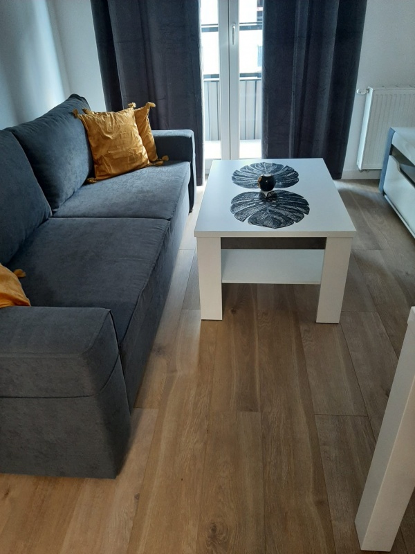 NOWOCZESNY, ELEGANCKI APARTAMENT W CENTRUM – DMOWSKIEGO – KĘPA PARK - 7