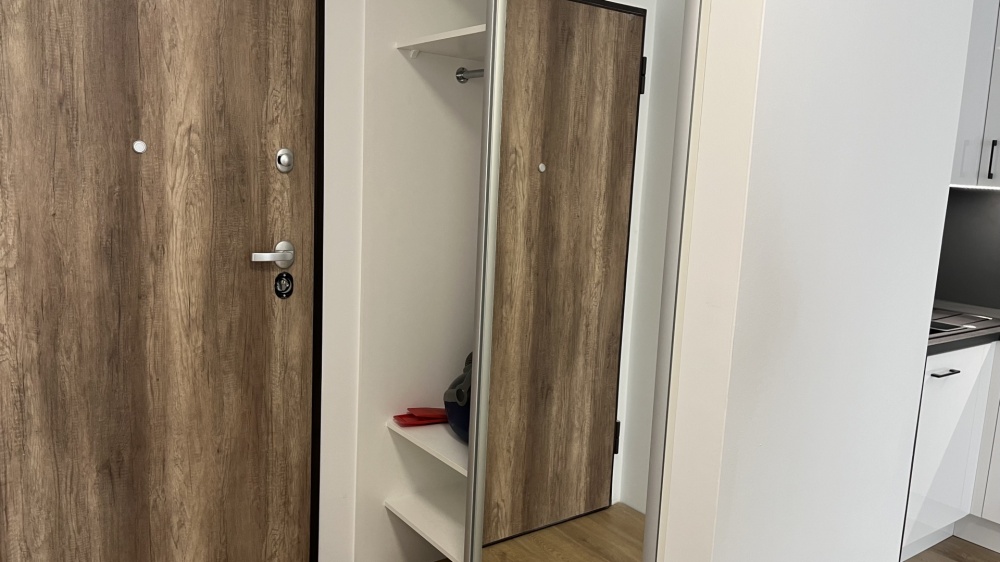 NOWOCZESNY, ELEGANCKI APARTAMENT W CENTRUM – DMOWSKIEGO – KĘPA PARK - 11