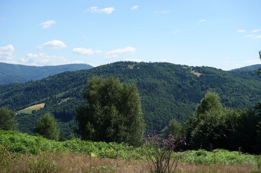 Brenna 2.53 ha inwestycyjna pod pensjonaty domki letniskowe - 1