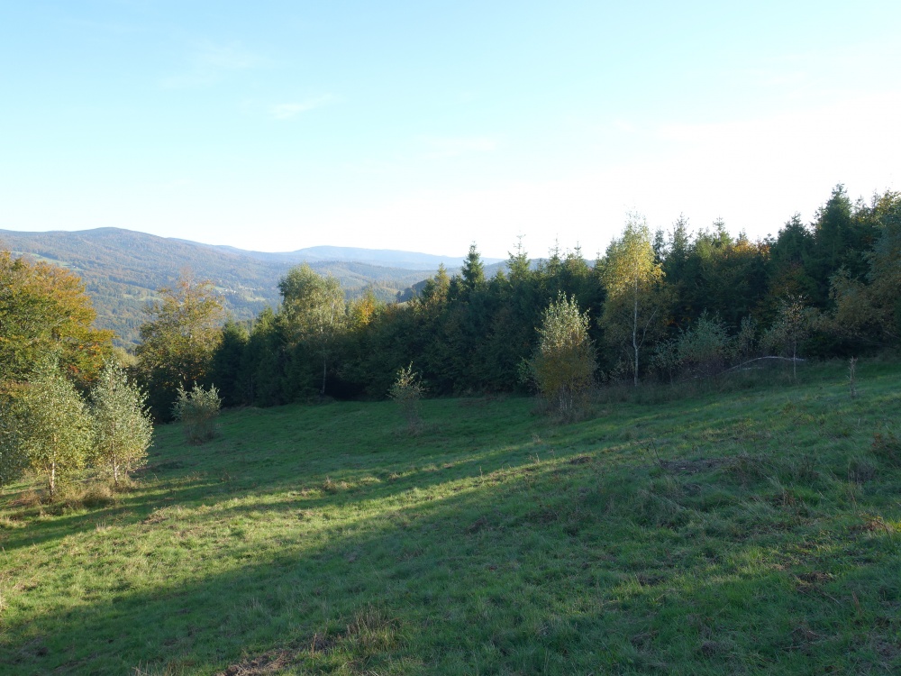 Brenna 2.53 ha inwestycyjna pod pensjonaty domki letniskowe - 8