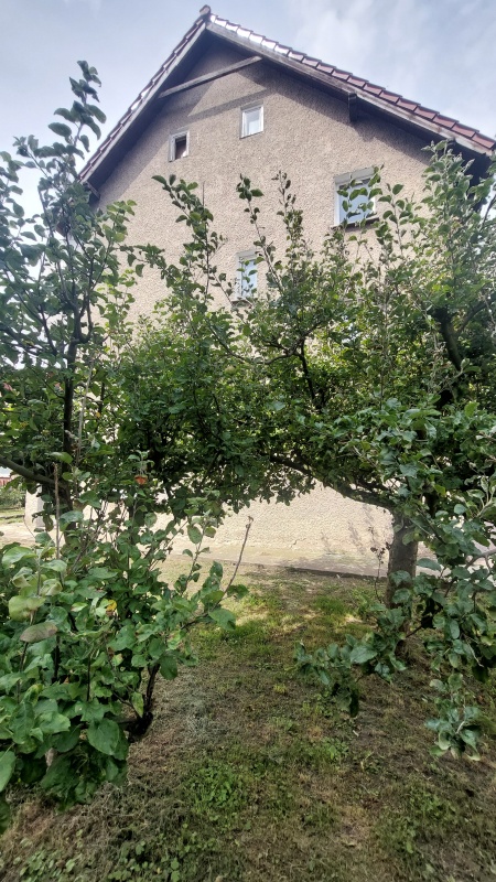 Wolin, Dom na Sprzedaż  - 17