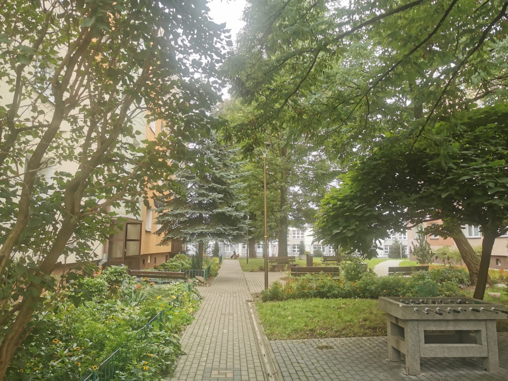 Bezpośrednio 2 pokoje 43 mkw parter ul. Broniewskiego  - 12