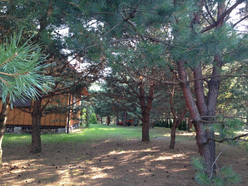 Bliskie Mazury, domek z kominkiem 5 min od plaży - 19