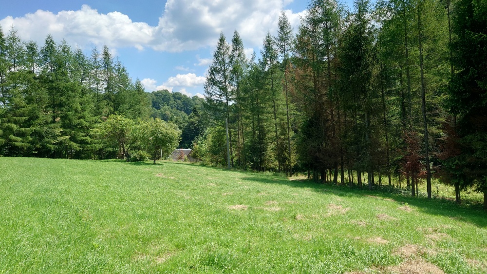 Działka BUDOWLANA 30 ary Bieszczady, Bóbrka, k. SOLINA - 1