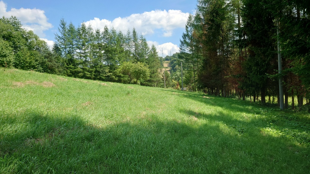 Działka BUDOWLANA 30 ary Bieszczady, Bóbrka, k. SOLINA - 3