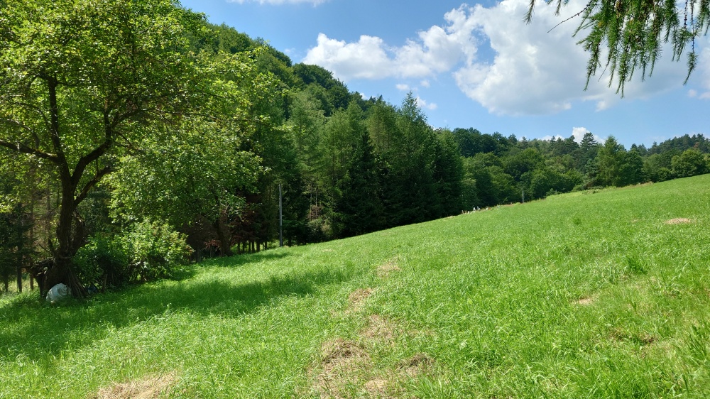 Działka BUDOWLANA 30 ary Bieszczady, Bóbrka, k. SOLINA - 2
