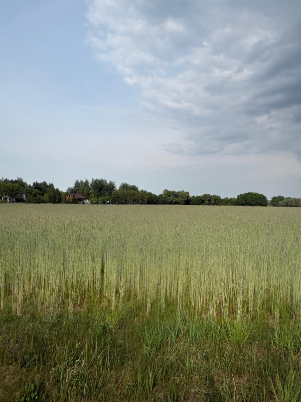 Sprzedam działkę budowlaną 1760m, Kownaty, gm. Płońsk ,WZ i Media , 45 min od Warszawy - 0
