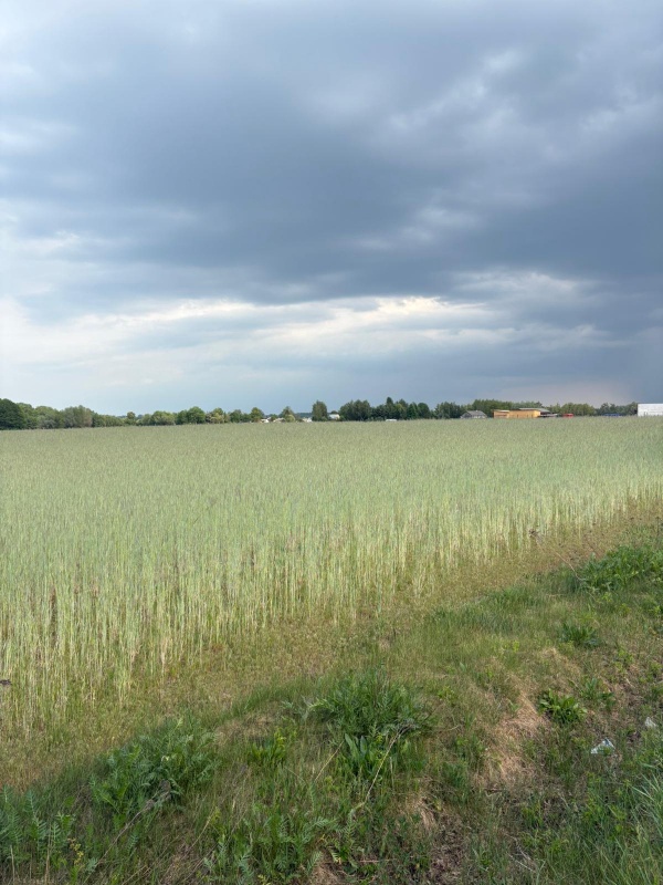 Sprzedam działkę budowlaną 1760m, Kownaty, gm. Płońsk ,WZ i Media , 45 min od Warszawy - 1