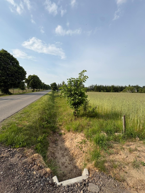 Sprzedam działkę budowlaną 1760m, Kownaty, gm. Płońsk ,WZ i Media , 45 min od Warszawy - 4