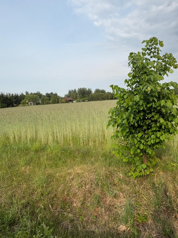 Sprzedam działkę budowlaną 1760m, Kownaty, gm. Płońsk ,WZ i Media , 45 min od Warszawy - 5