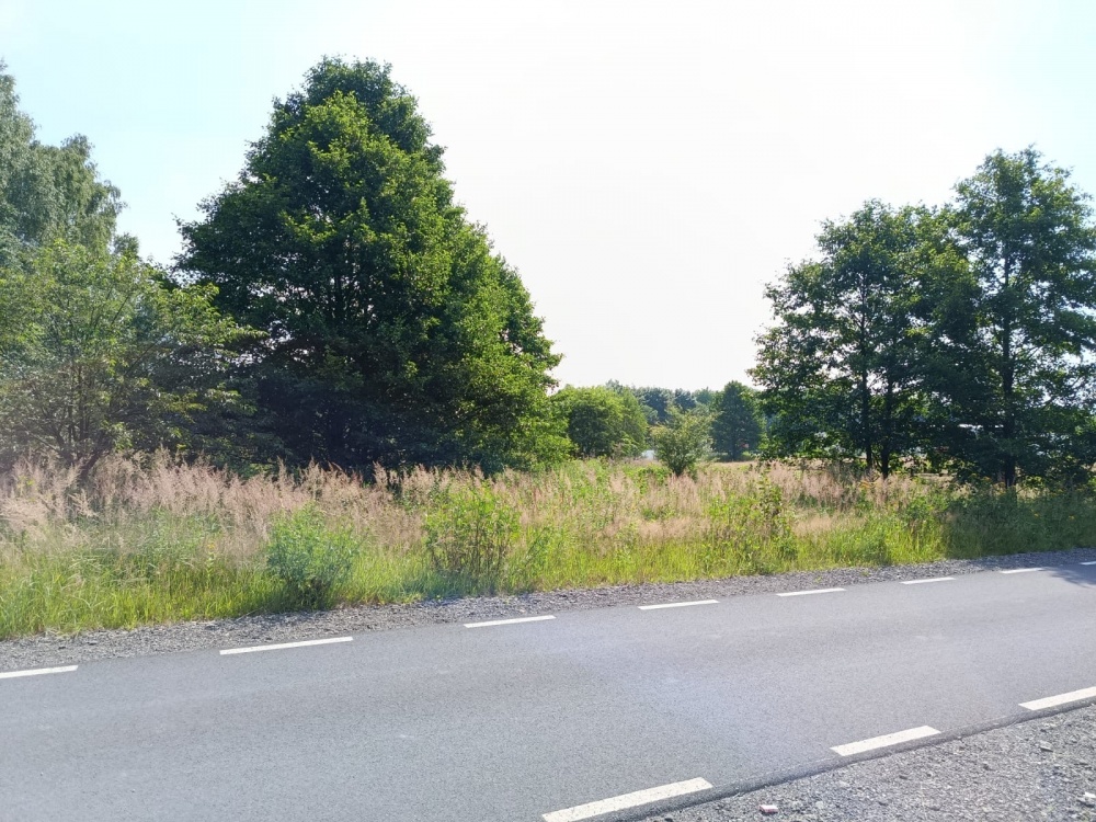 TEREN INWESTYCYJNO-USŁUGOWY | 2299 m² | MPZP U.2 | 5 KM OD SZCZYRKU - 0