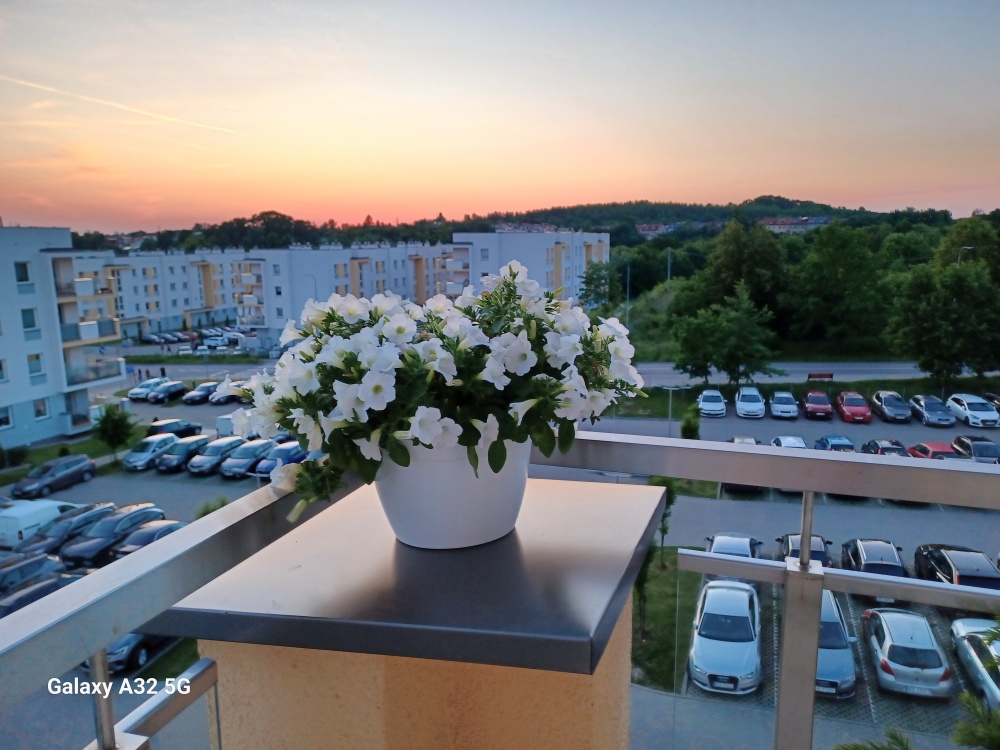 DUŻY APARTAMENT Z MOŻLIWOŚCIĄ ROZDZIELENIA+HALA GARAŻOWA 30m2 + 2 TARASY - 5